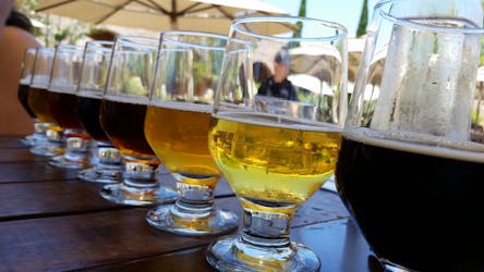 Дегустация крафтового пива в Кейптауне и барбекю на Сансет-бич